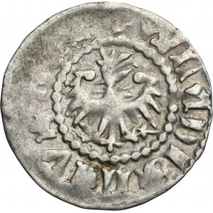 Ladislaus II Jagiello, Kwartnik undated