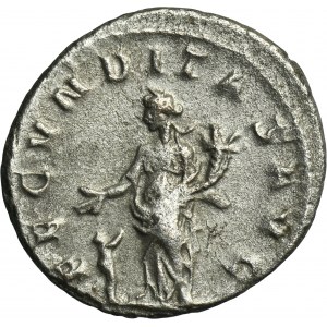 Roman Imperial, Herennia Etruscilla, Antoninianus