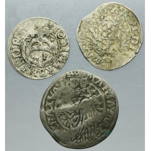 Lot, Germany and Ducal Prussia, 3 Polker, 2 Kreuzer and Mariengroschen (3 pcs.)