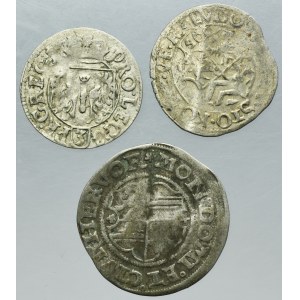 Lot, Germany and Ducal Prussia, 3 Polker, 2 Kreuzer and Mariengroschen (3 pcs.)