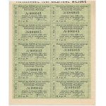 TKM Piotrków, 5% list zastawny, 250 zł, 1925