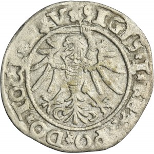 Sigismund I the Old, Groschen Elbing 1535 - PRV
