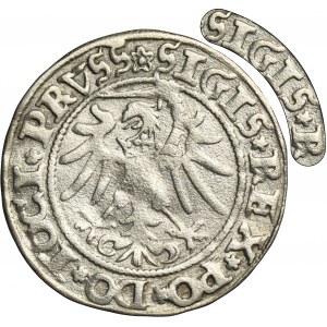 Sigismund I the Old, Groschen Elbing 1535 - PRVSS - VERY RARE, without I in the title