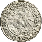 Sigismund I the Old, Groschen Elbing 1535 - PRVSS - VERY RARE, without I in the title