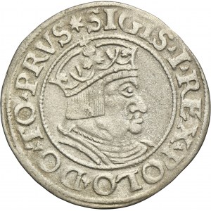 Sigismund I the Old, Groschen Danzig 1535 - PRVS - RARE