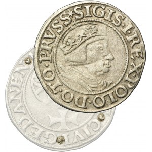 Sigismund I the Old, Groschen Danzig 1538 - PRVSS - EXTREMELY RARE, rosettes