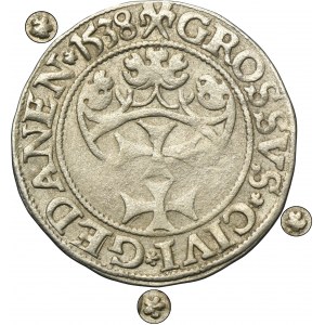 Sigismund I the Old, Groschen Danzig 1538 - PRVSS - EXTREMELY RARE, rosettes