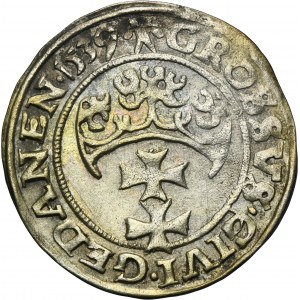 Sigismund I the Old, Groschen Danzig 1539 - PRVS - EXTREMELY RARE, ROLO