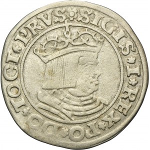 Sigismund I the Old, Groschen Thorn 1530 - PRVS/PRVSS - RARE