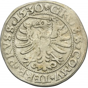 Sigismund I the Old, Groschen Thorn 1530 - PRVS/PRVSS - RARE