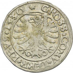 Sigismund I the Old, Groschen Thorn 1530 - PRVSS/PRVS - EXTREMELY RARE