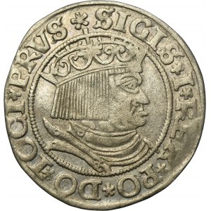 Sigismund I the Old, Groschen Thorn 1532 - PRVS/PRVSSI - RARE