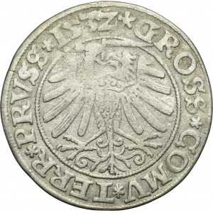 Sigismund I the Old, Groschen Thorn 1532 - PRVSSI/PRVSS
