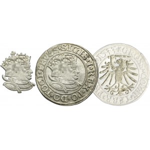 Sigismund I the Old, Groschen Thorn 1533 - PRVSS/PRVSSIE - VERY RARE