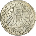 Sigismund I the Old, Groschen Thorn 1533 - PRVSS/PRVSSIE - VERY RARE
