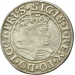 Sigismund I the Old, Groschen Thorn 1533 - PRVS/PRVSSIE - VERY RARE