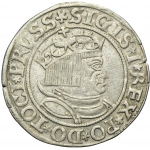 Sigismund I the Old, Groschen Thorn 1534 - PRVSS/PRVSSIE