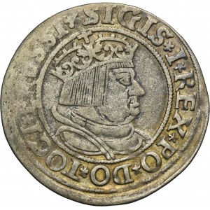 Sigismund I the Old, Groschen Thorn 1534 - PRVSSI/PRVSSIE - VERY RARE