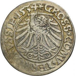 Sigismund I the Old, Groschen Thorn 1534 - PRVSSI/PRVSSIE - VERY RARE