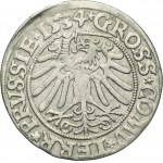 Sigismund I the Old, Groschen Thorn 1534 - PRVSSI/PRVSSIE - VERY RARE