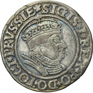 Sigismund I the Old, Groschen Thorn 1534 - PRVSSIE/PRVSSIE