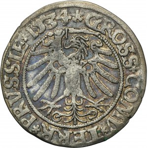Sigismund I the Old, Groschen Thorn 1534 - PRVSSIE/PRVSSIE