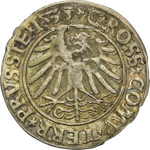 Sigismund I the Old, Groschen Thorn 1535 - PRVSSIE/PRVSSIE - VERY RARE