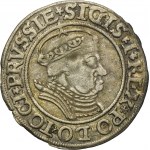 Sigismund I the Old, Groschen Thorn 1535 - PRVSSIE/PRVSSIE - VERY RARE