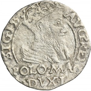 Sigismund II August, Groschen Tykocin 1566 - L/LIT
