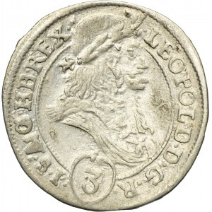 Hunagry, Leopold I, 3 Kreuzer Kosice 1696 CM