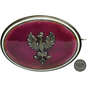 Patriotic brooch