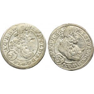 Lot, Silesia, Habsburg rule, Leopold I, 3 Kreuzer Brieg (2 pcs.)