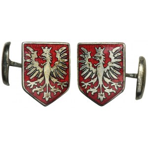 Patriotic cufflinks
