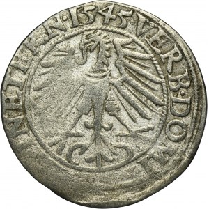 Silesia, Duchy of Liegnitz-Brieg-Wohlau, Friedrich II, Groschen Leignitz 1545 - RARE