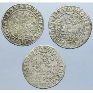 Lot, Sigismund II August, 1/2 Groschen Vilnius (3 pcs.)