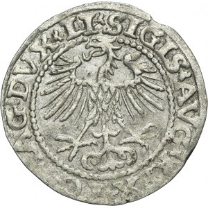 Sigismund II August, 1/2 Groschen Vilnius 1552 - RARE, LI/LITVA