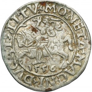 Sigismund II August, 1/2 Groschen Vilnius 1556 - LI/LITVA