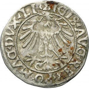 Sigismund II August, 1/2 Groschen Vilnius 1556 - LI/LITVA