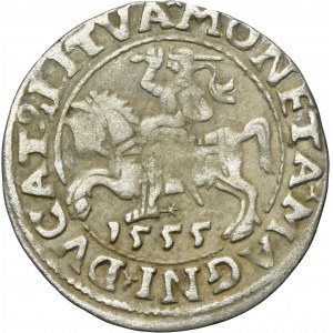 Sigismund II August, 1/2 Groschen Vilnius 1555 - LI/LITVA