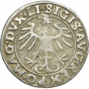 Sigismund II August, 1/2 Groschen Vilnius 1555 - LI/LITVA