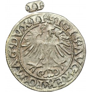 Sigismund II August, 1/2 Groschen Vilnius 1554 - RARE, LI/LITVA