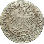 Sigismund II August, 1/2 Groschen Vilnius 1554 - RARE, LI/LITVA