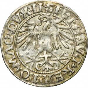 Sigismund II August, 1/2 Groschen Vilnius 1549 - LI/LITVA