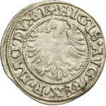 Sigismund II August, 1/2 Groschen Vilnius 1545 - RARE, L/LTIV
