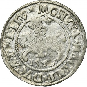 Sigismund II August, 1/2 Groschen Vilnius 1546 - L/LITV