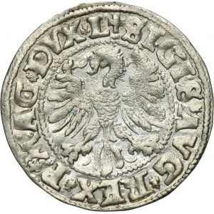 Sigismund II August, 1/2 Groschen Vilnius 1546 - L/LITV