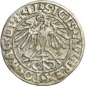 Sigismund II August, Halfgroat Vilnius 1550 - LI/LITVA