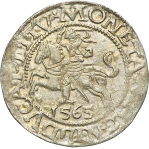 Sigismund II August, 1/2 Groschen Vilnius 1565 - L/LITV