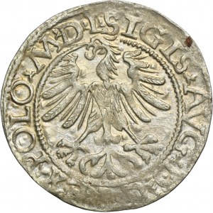 Sigismund II August, 1/2 Groschen Vilnius 1565 - L/LITV