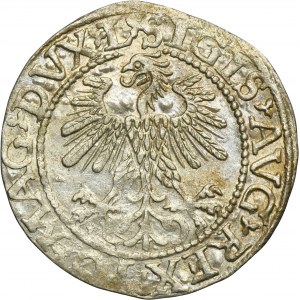 Sigismund II August, 1/2 Groschen Vilnius 1560 - L/LITV